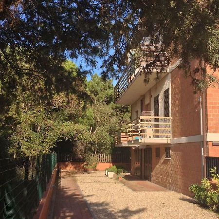 Bilocale A 40 Mt. Dalla Spiaggia Circondato Dalla Pineta Marina di Grosseto Exterior foto