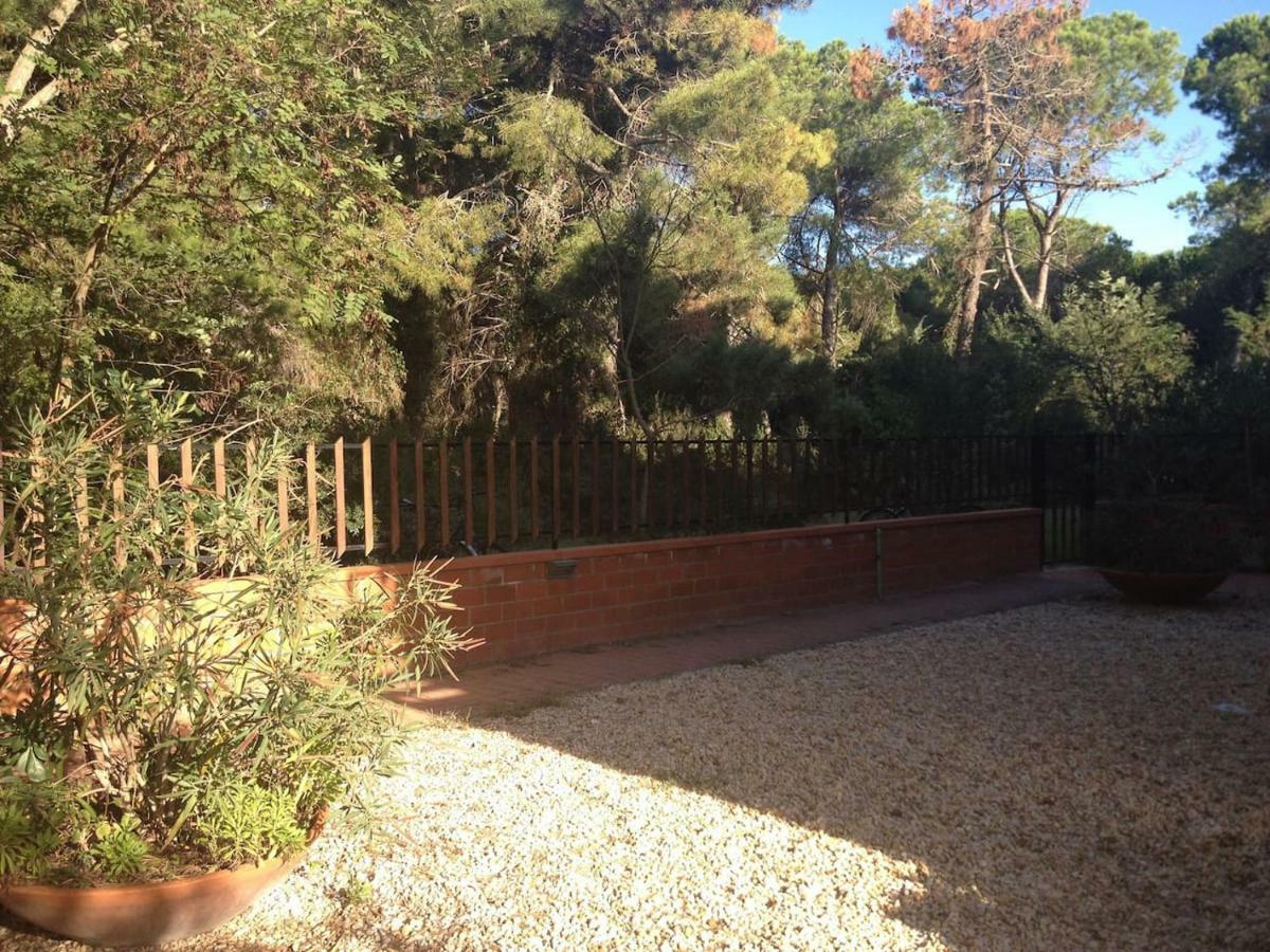 Bilocale A 40 Mt. Dalla Spiaggia Circondato Dalla Pineta Marina di Grosseto Exterior foto