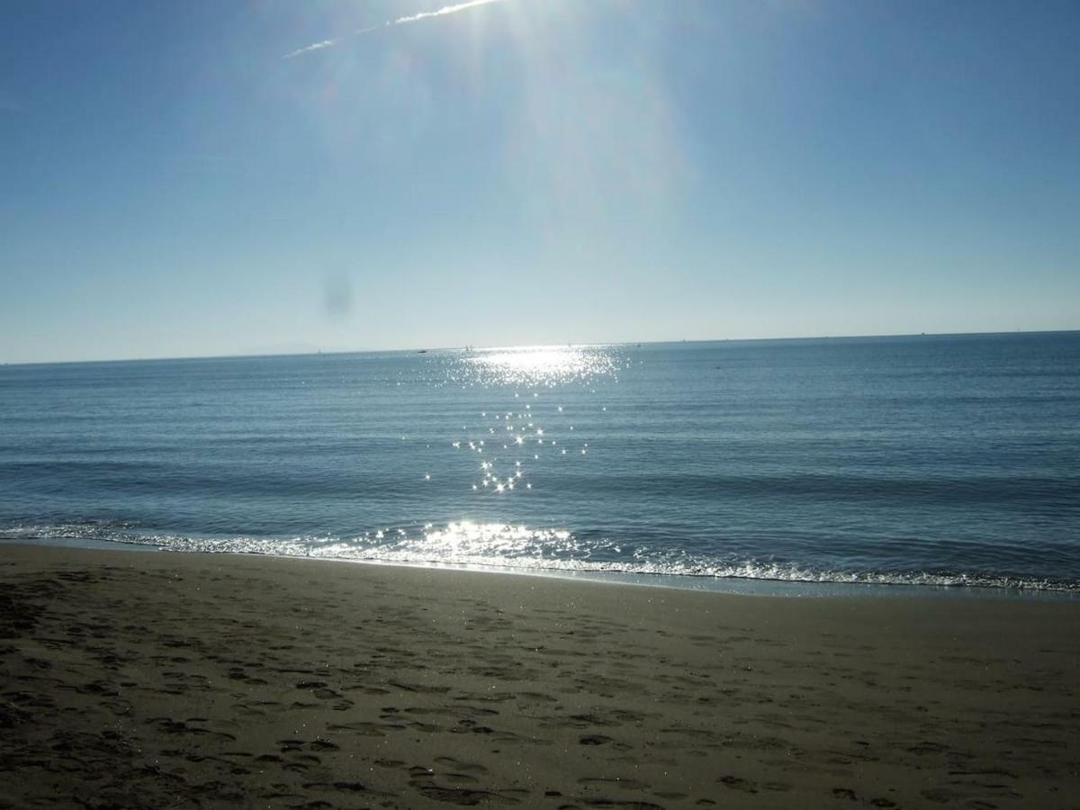 Bilocale A 40 Mt. Dalla Spiaggia Circondato Dalla Pineta Marina di Grosseto Exterior foto